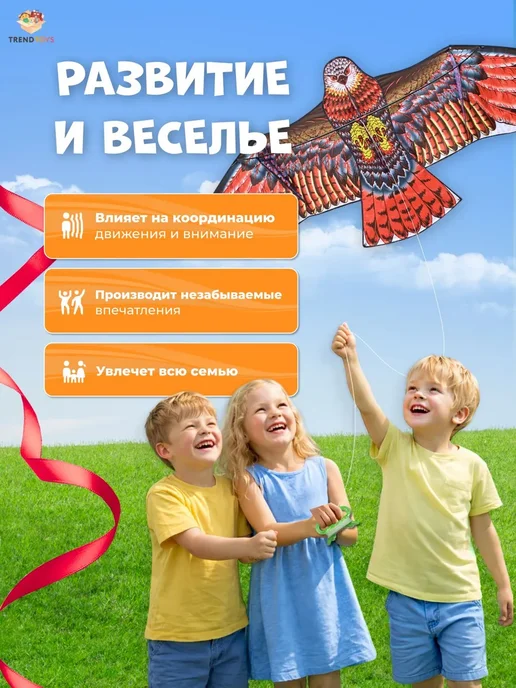 Детский большой сокол 160х70 см, летний змей, для детей и се, 160x70 см, фото 6