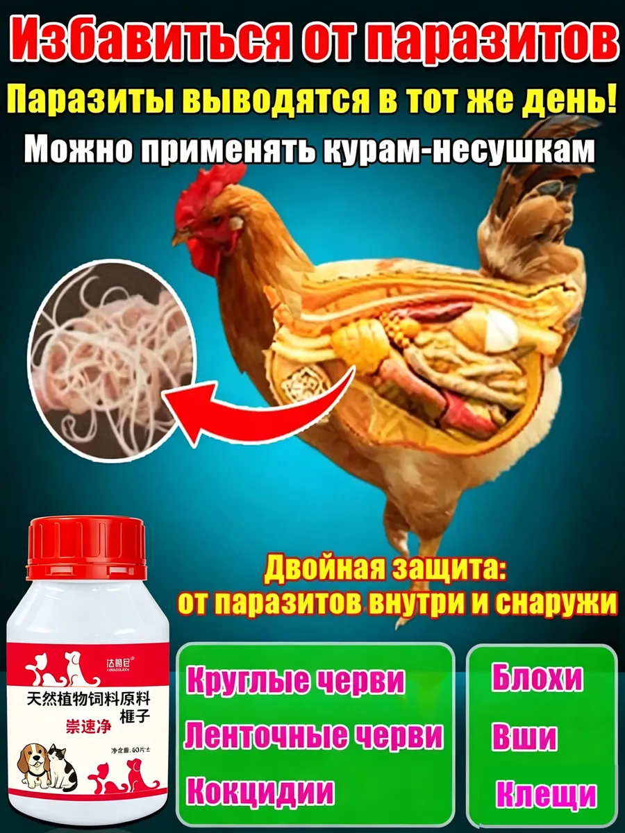 От глистов для кур несушек