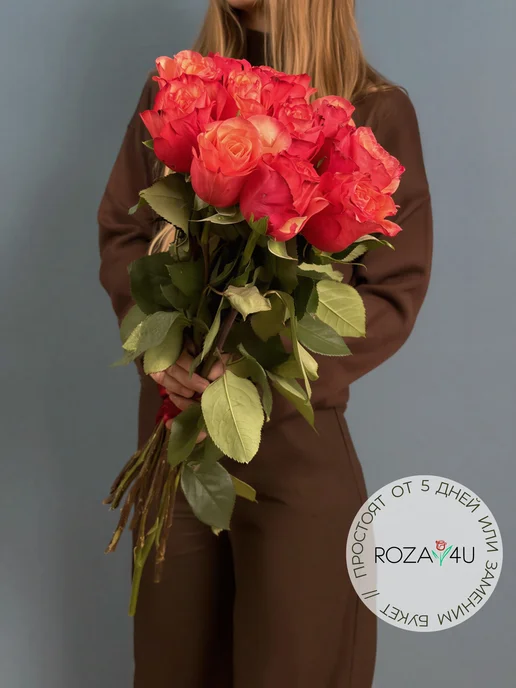ROZA4U Букет живых цветов 11 ярких роз Боргат 60 см, красный