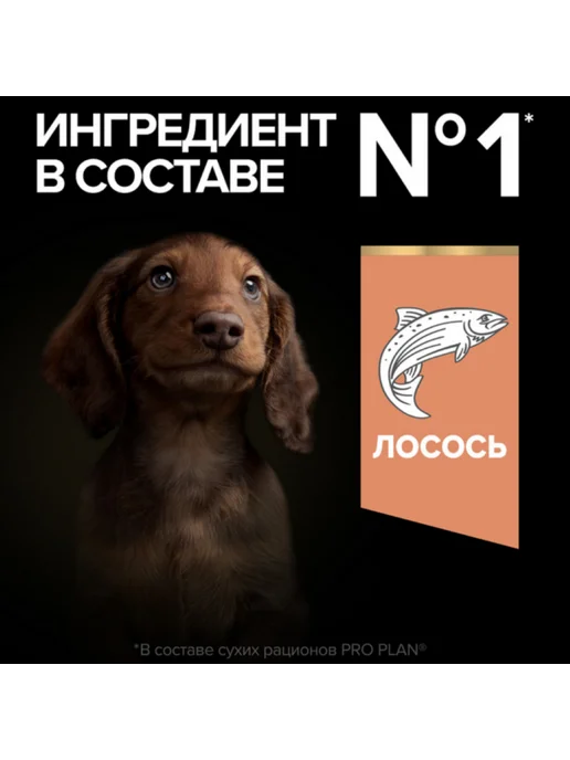 Сухой корм PRO PLAN Skin для собак, мелкие, чувствительное пищеварение, щенки, лосось, 6,5 кг, фото 7