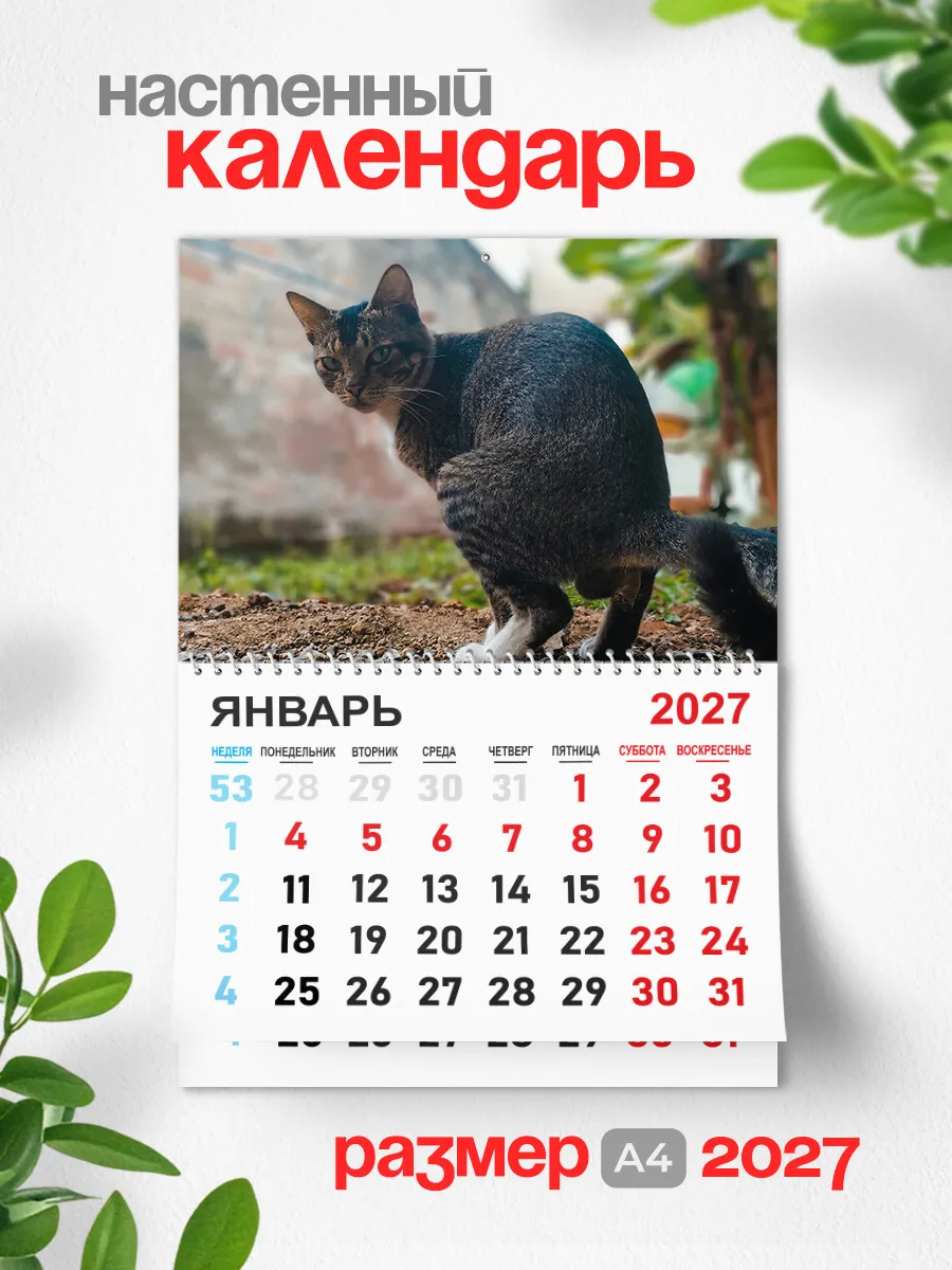 Календарь настенный перекидной 2027 год какающие коты