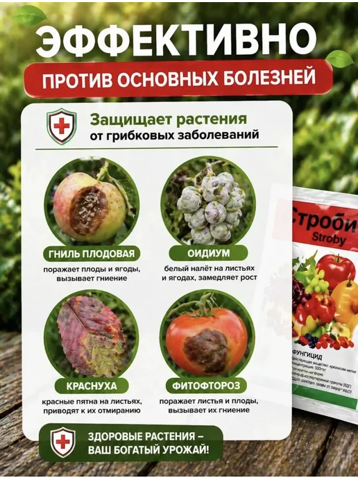 Строби фунгицид 10шт по 2гр, 10 шт, 2 г, фото 4