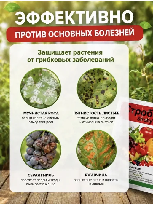 Строби фунгицид 10шт по 2гр, 10 шт, 2 г, фото 5