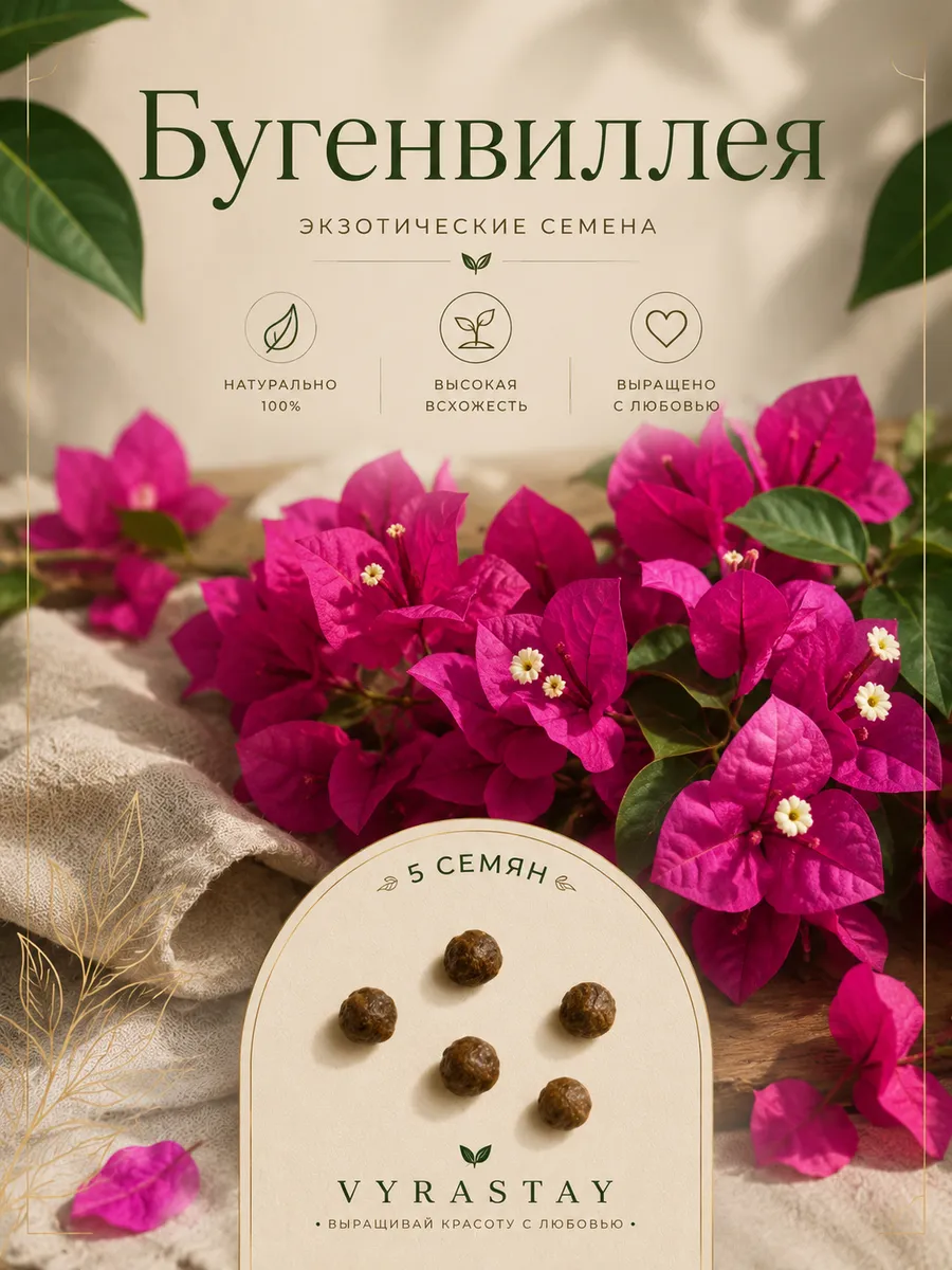 Бугенвиллея микс цветов, семена 5 штук
