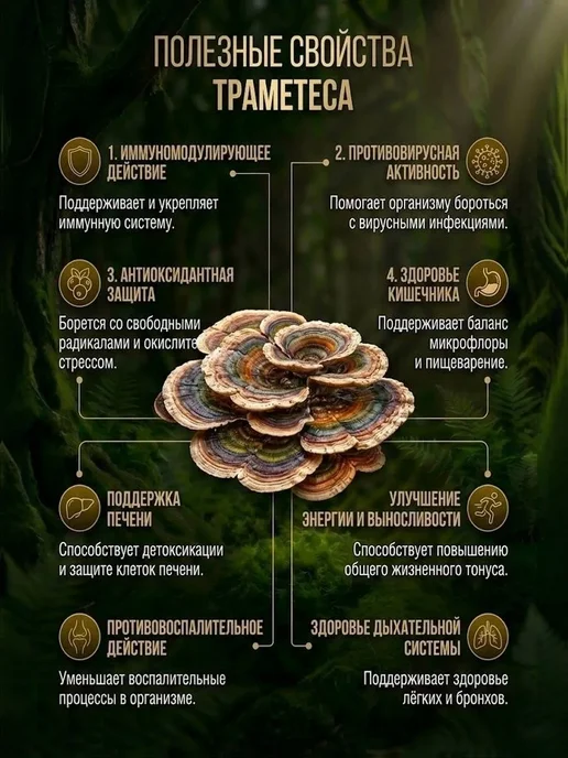 Айведи Траметес цельный 100гр, 100 г, фото 2