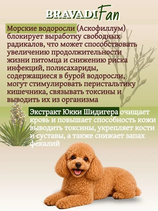 Сухой корм Bravadi Fan Три для собак, мелкие, мясо, 8 кг, фото 3