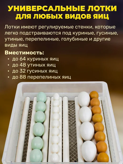 Sititek Автоматический инкубатор для 64 яиц, обновленная версия, черный, фото 2