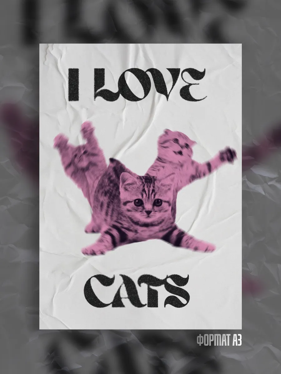 celebrities who love cats