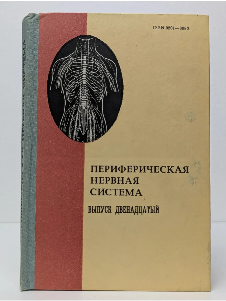Периферическая нервная система. Выпуск 12