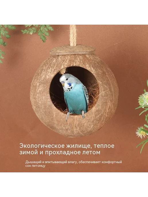 Гнездо для попугаев из кокосовой скорлупы, 10–13 см, вариант