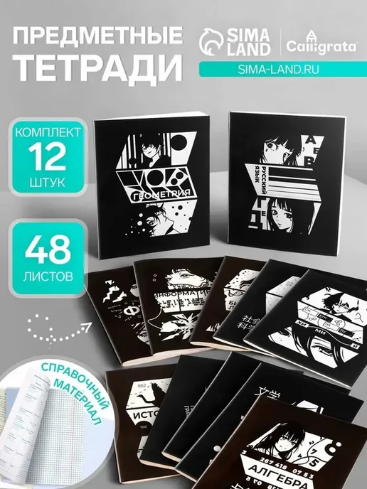 Тетради в стиле Аниме и Комикс для учебы, вариант