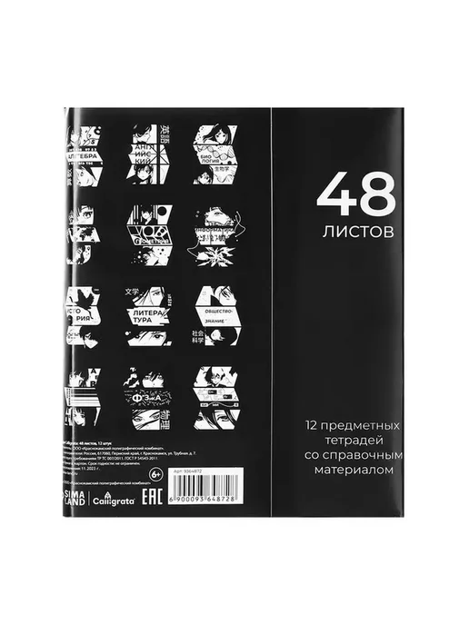 Тетради в стиле Аниме и Комикс для учебы, вариант, фото 5