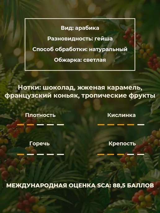 Кофе в дрип-пакетах Гейша, 10 шт. по 12 гр, 10 шт, 12 г, фото 2