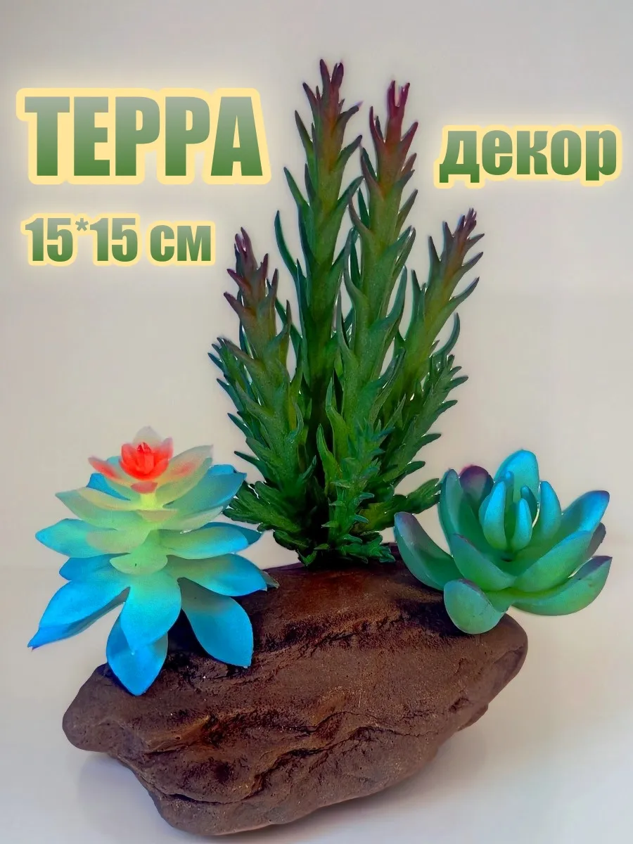 Декор Террариум