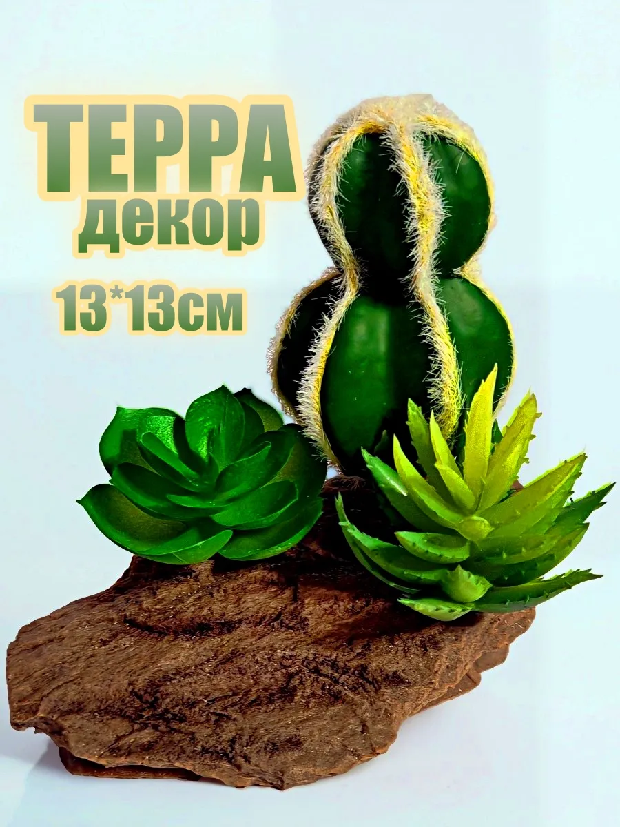 Декор Террариум