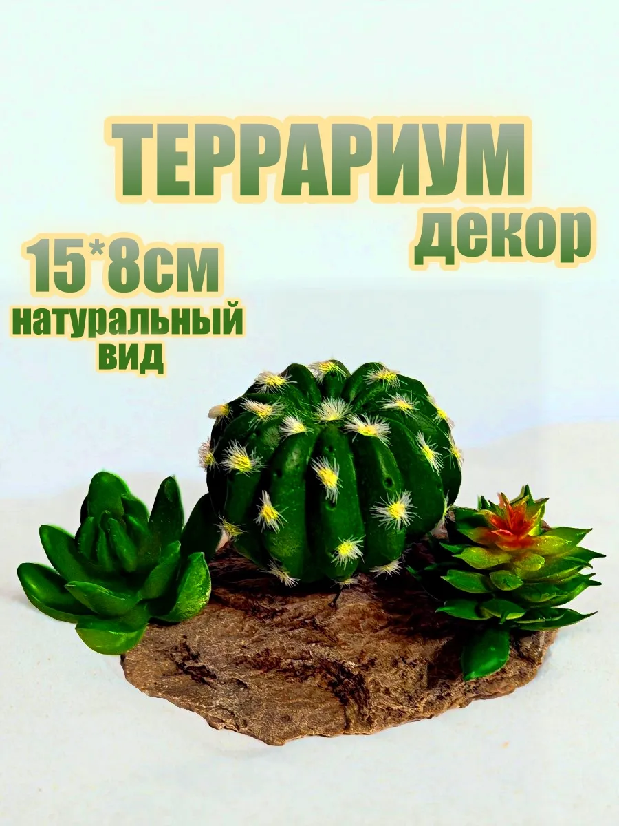 Декор Террариум