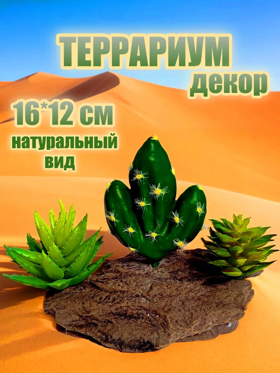 Декор Террариум