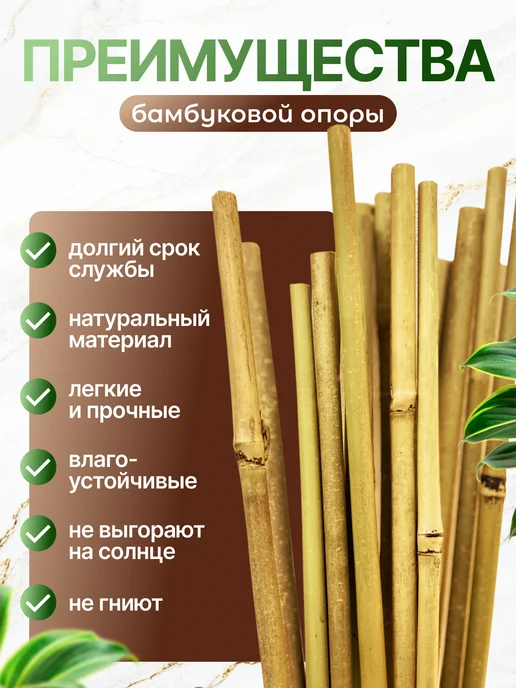 Зелёный Двор Бамбуковые палки для огорода и рассады, колышки 150 см 20 шт, 20 шт, фото 2