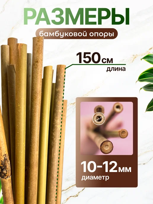 Зелёный Двор Бамбуковые палки для огорода и рассады, колышки 150 см 20 шт, 20 шт, фото 6