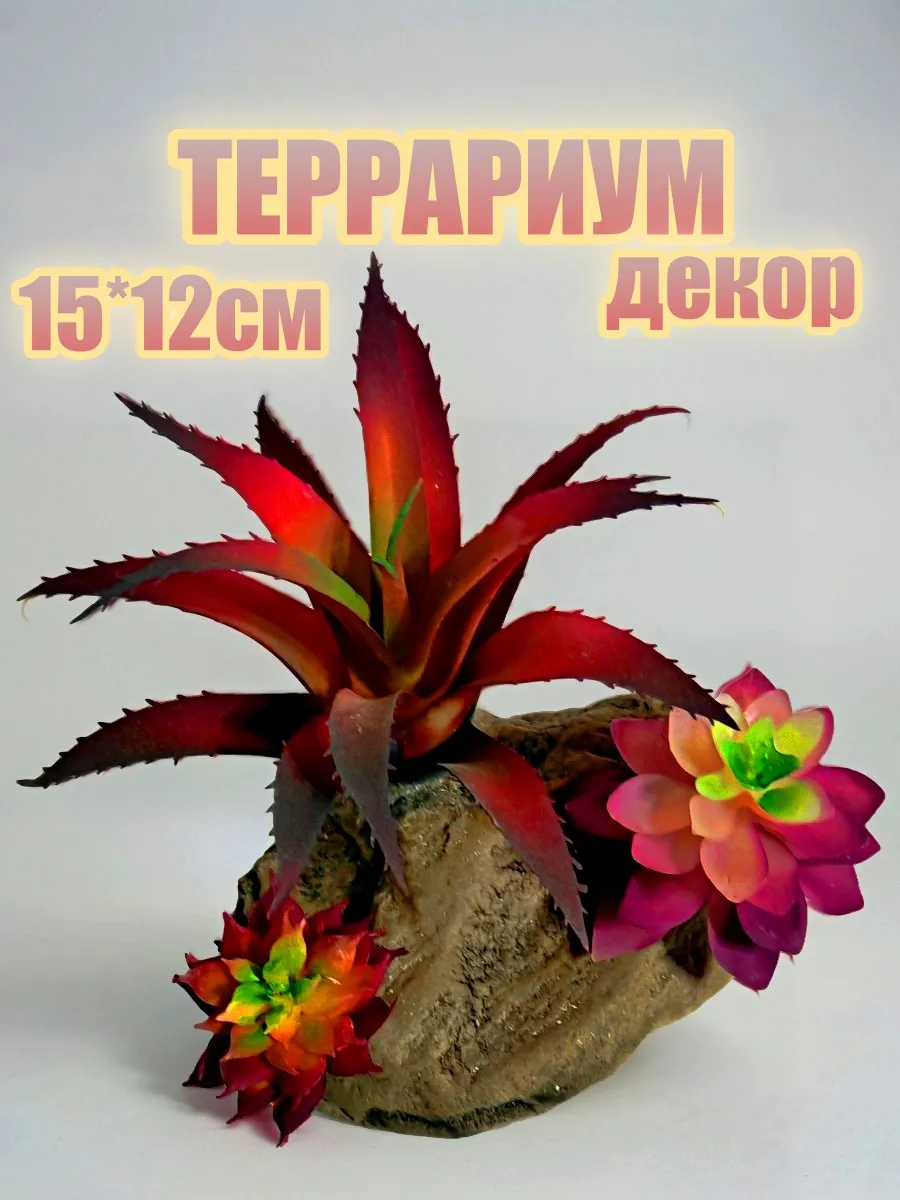 Декор Террариум