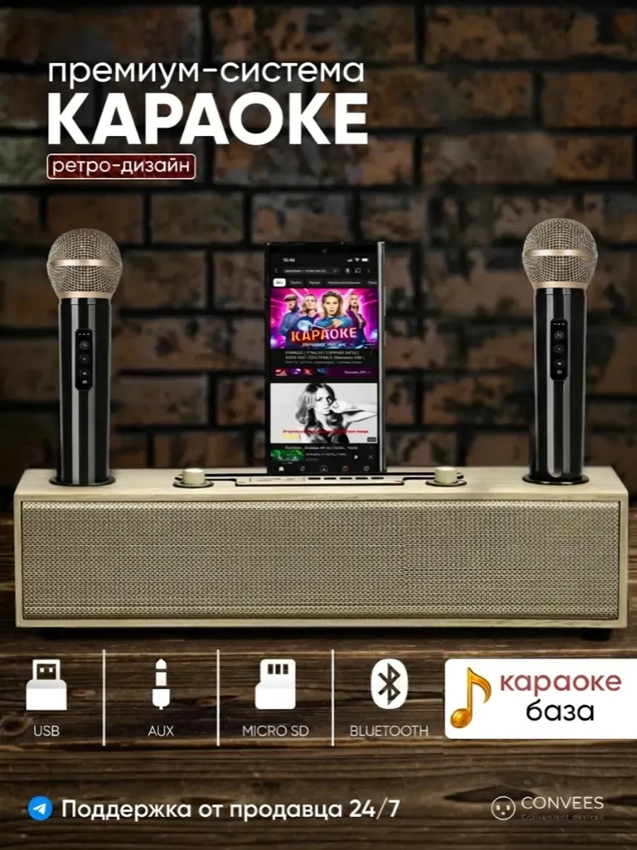 Колонка караоке ретро с двумя микрофонами