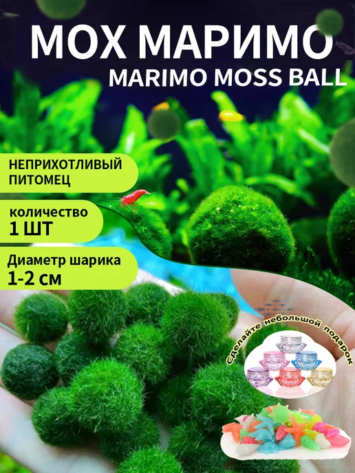 Водоросль Маримо, вариант