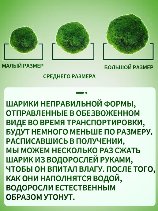 Водоросль Маримо, вариант, фото 6