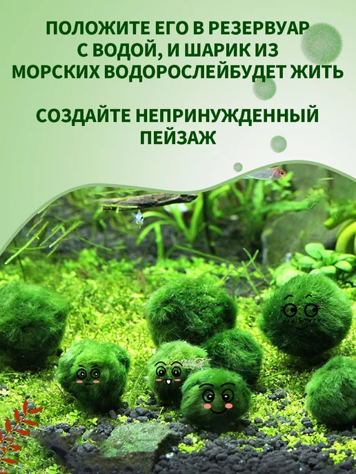 Водоросль Маримо, вариант, фото 3
