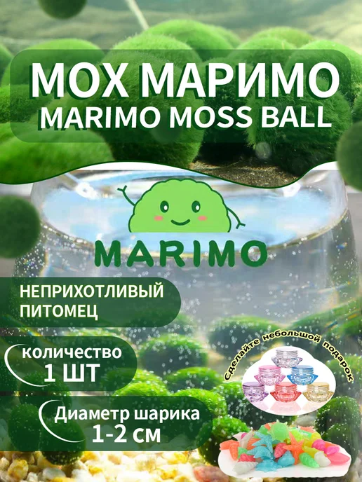 маримо водоросли, Племенной набор, вариант