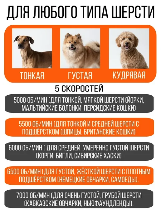 Машинка для стрижки животных СР 9600 триммер для собак, черный, фото 2