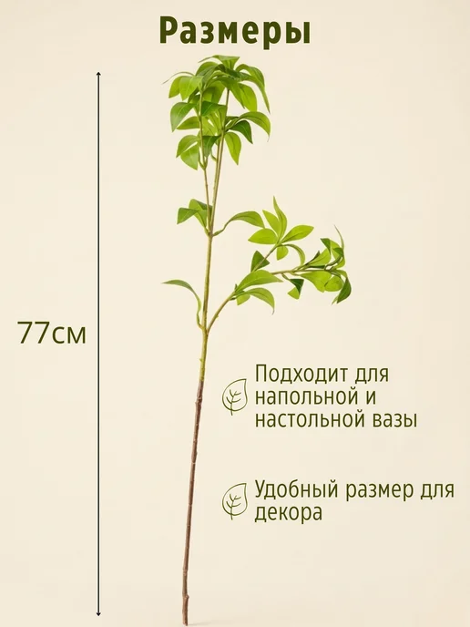 Evernia Искусственная ветка шеффлера декоративная зелень, зеленый, фото 2