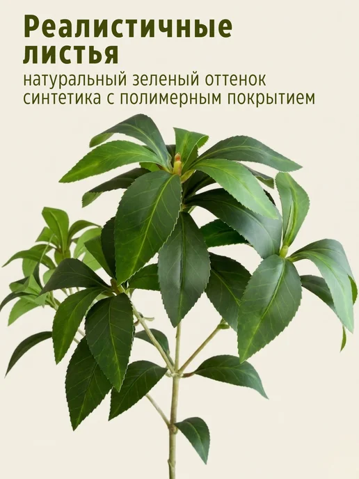 Evernia Искусственная ветка шеффлера декоративная зелень, зеленый, фото 3