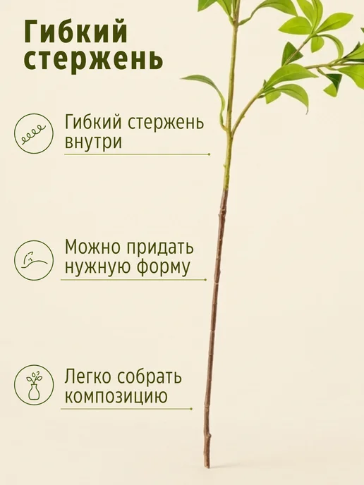 Evernia Искусственная ветка шеффлера декоративная зелень, зеленый, фото 4