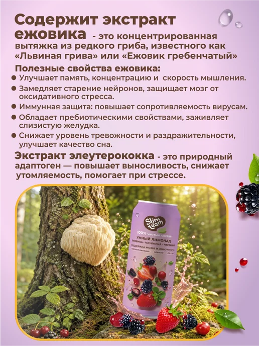 SLIM TEAM Набор лимонадов с витаминами 2 вкуса по 2 штуки, 330 мл, 4 шт, фото 4