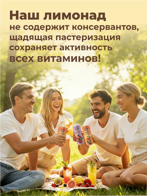 SLIM TEAM Набор лимонадов с витаминами 2 вкуса по 2 штуки, 330 мл, 4 шт, фото 5