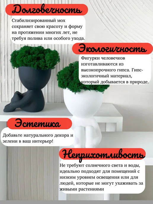 человечек с стабилизированным мхом на полку, вариант, фото 4