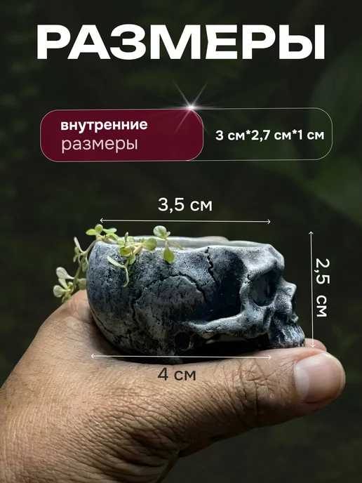Кормушка поилка емкость под кальций для рептилий, серый, фото 2