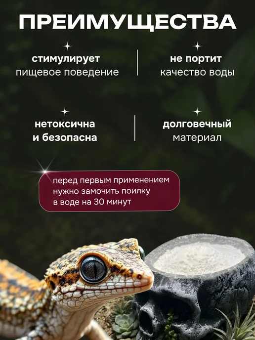 Кормушка поилка емкость под кальций для рептилий, серый, фото 3