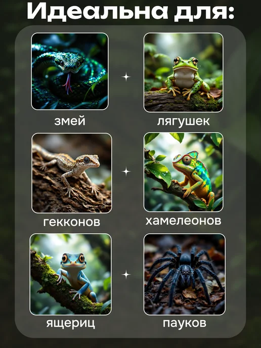Кормушка поилка емкость под кальций для рептилий, серый, фото 4