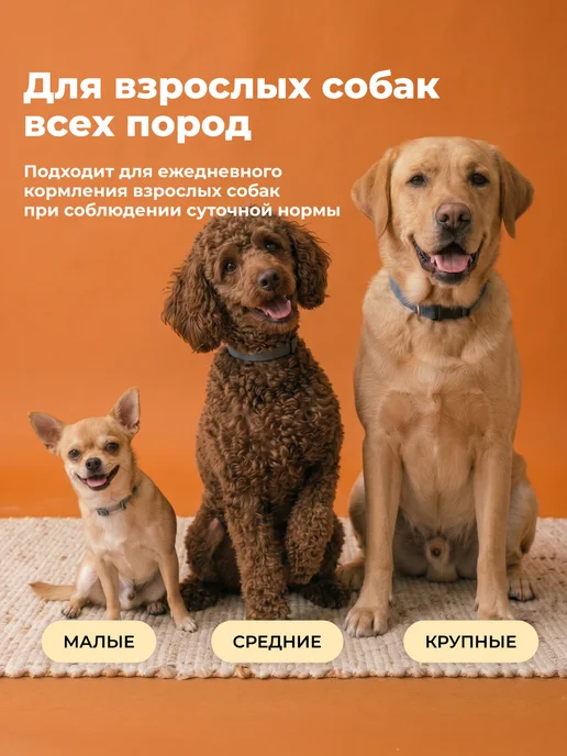 Сухой корм Dolce cuore для собак, гипоаллергенный, индейка, ягненок, 10 кг, фото 3