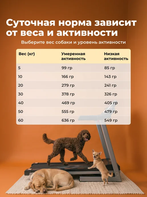 Сухой корм Dolce cuore для собак, гипоаллергенный, индейка, ягненок, 10 кг, фото 7