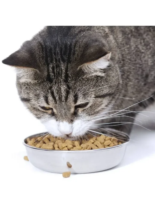 Сухой корм Nature's protection Indoor Кошек для собак, 7 кг, фото 3