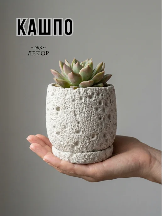 ЭкоДЕКОР Кашпо для кактусов и суккулентов, белый