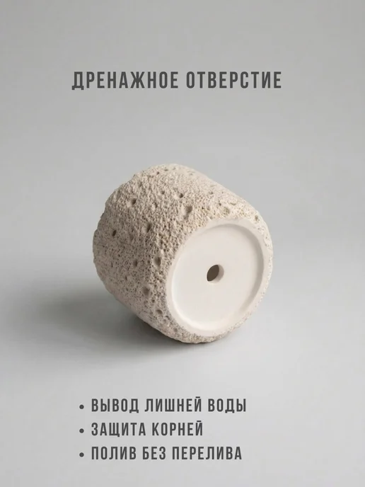ЭкоДЕКОР Кашпо для кактусов и суккулентов, белый, фото 3