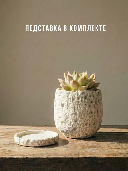 ЭкоДЕКОР Кашпо для кактусов и суккулентов, белый, фото 4