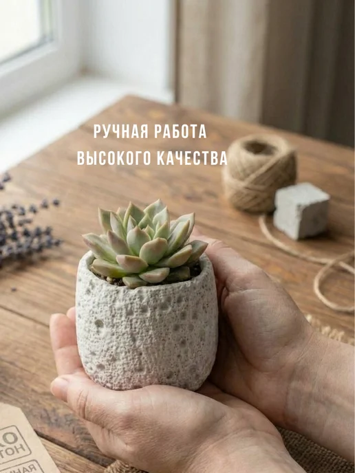 ЭкоДЕКОР Кашпо для кактусов и суккулентов, белый, фото 5