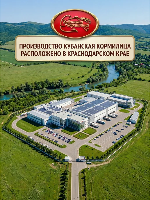 Кубанская Кормилица Крекер сырный ромб с вкусом сыра 500 грамм, вариант, фото 5