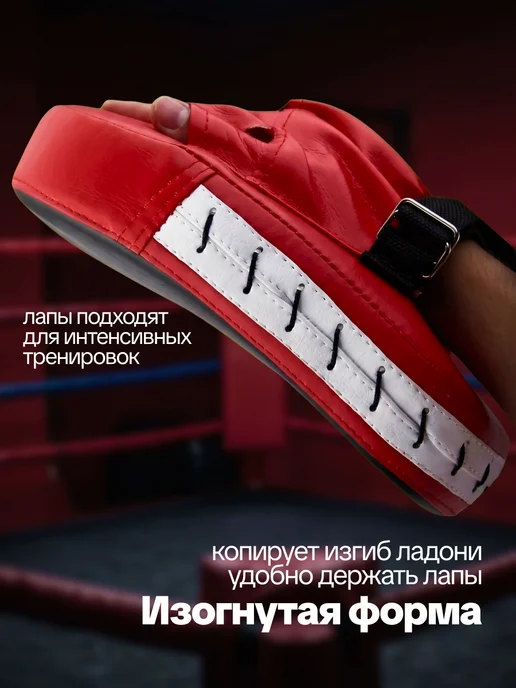 Drakon IRG Лапы боксерские 2 шт для тхэквондо и единоборств, 2 шт, фото 3
