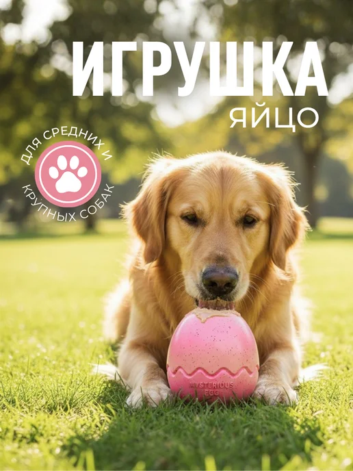 ЛКЛаб Игрушка яйцо для крупных пород собак, розовый