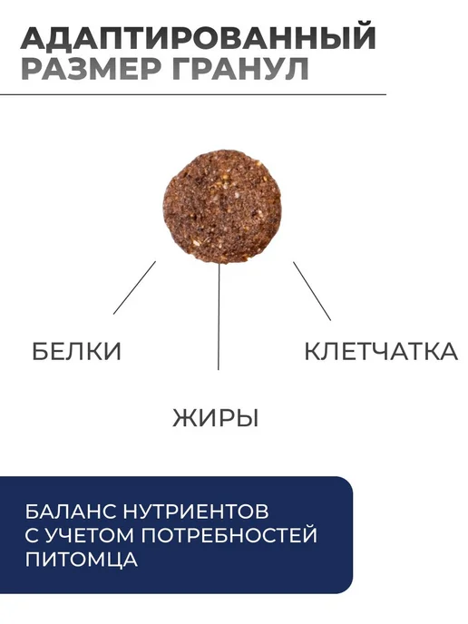 Сухой корм MONGE Dog Daily для собак, взрослые, средние, курица, 12 кг, фото 2